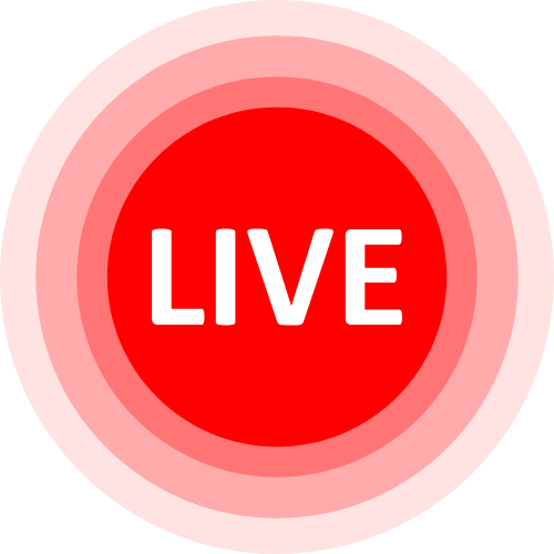Live Jasmine Webcam
